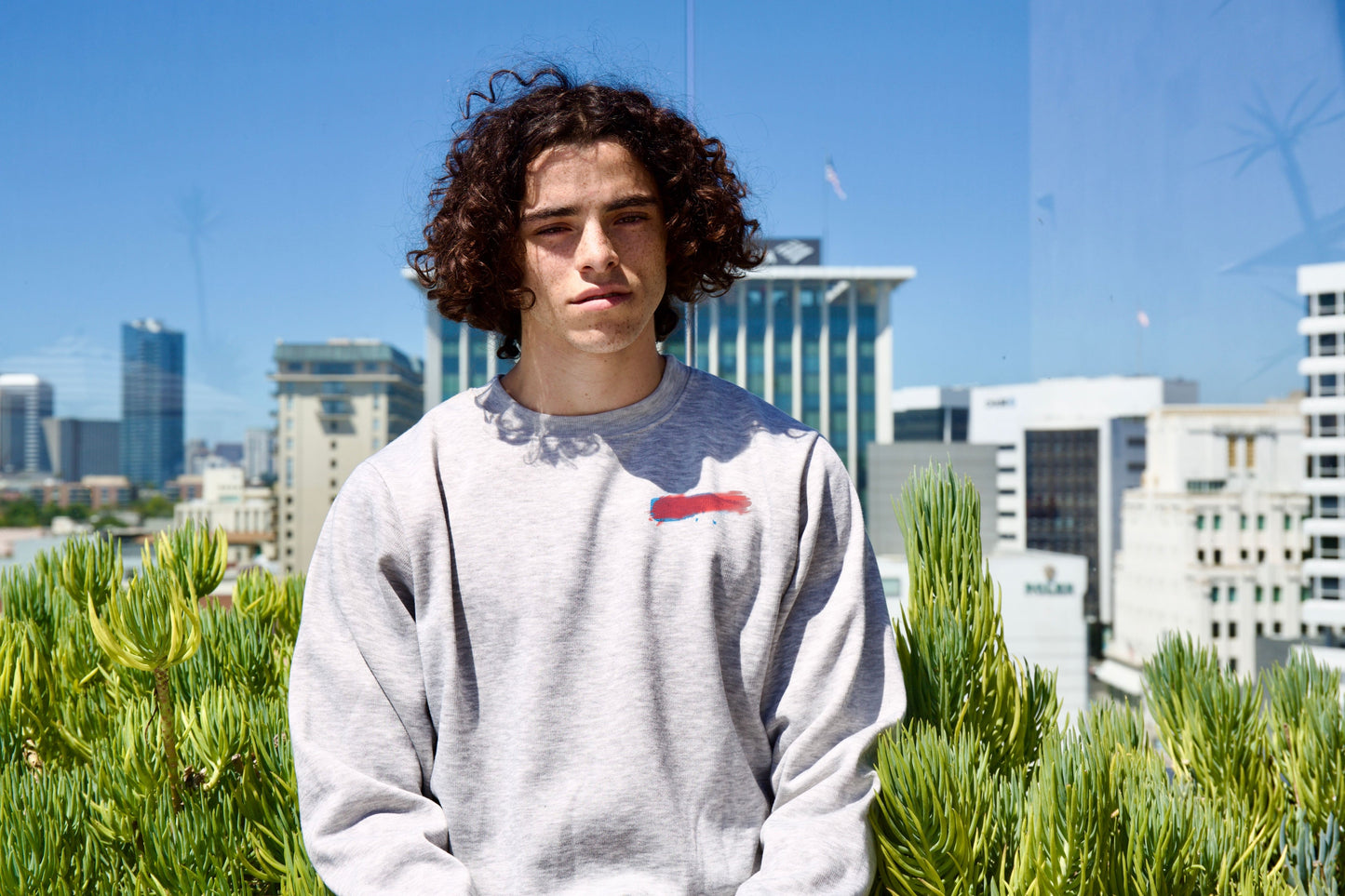 Grey Long Sleeve with Red stroke